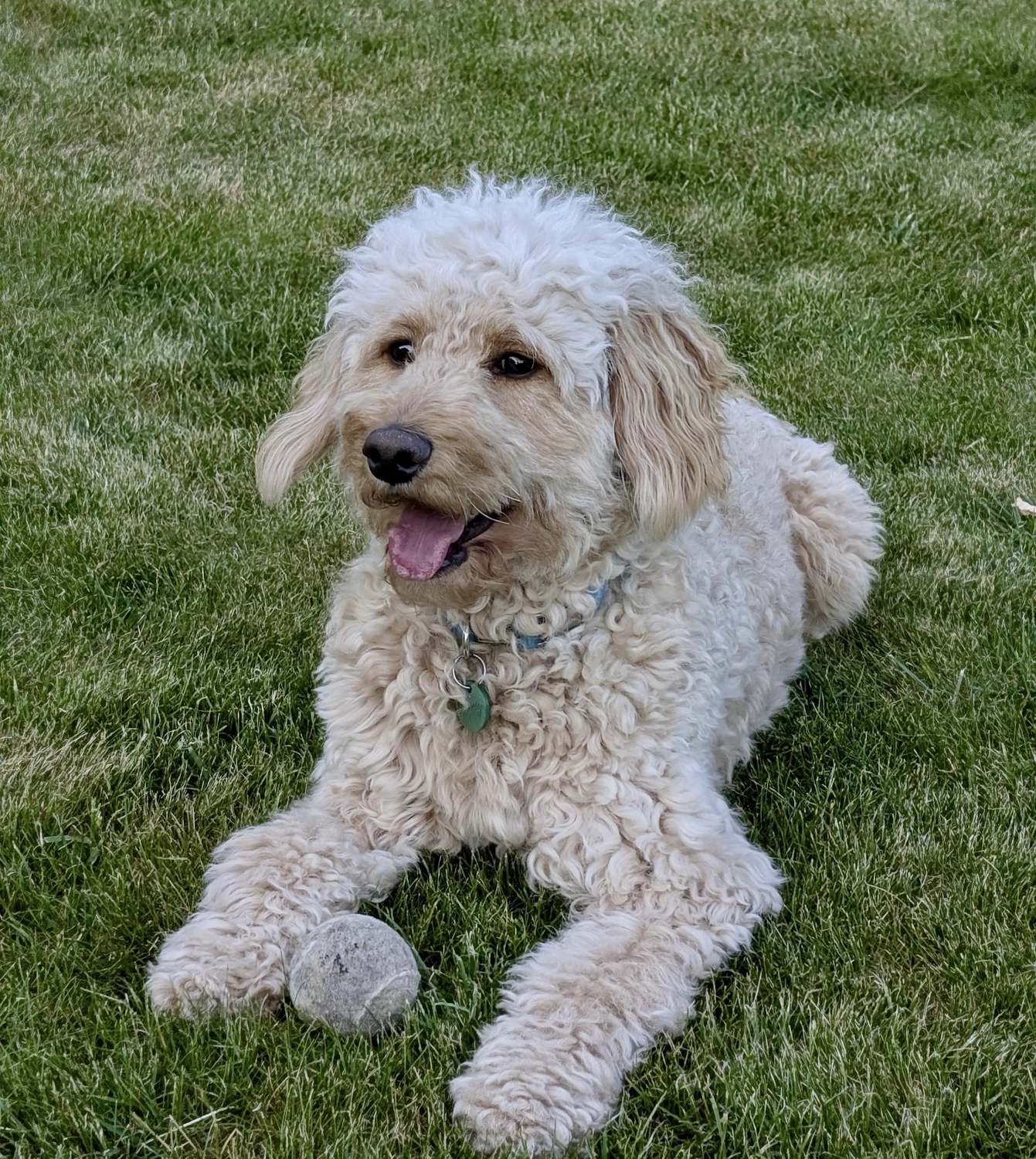 BST Projekt-Bau GmbH - Badsanierung -Harvey